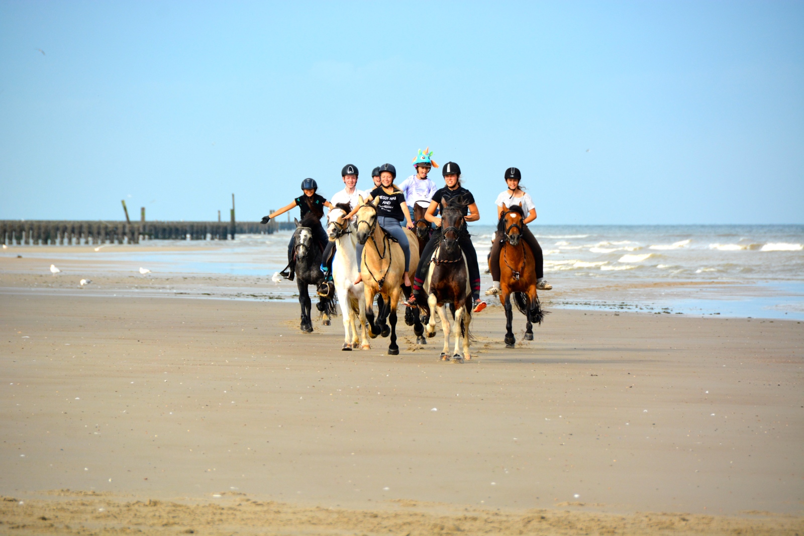 Paardrijden aan zee