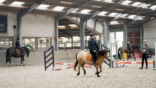[2026] Paardrijden vlakbij Gent - Pasen(5/4)  - Merelbeke 't Bakkershof