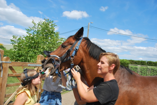 [2026] Health op het veld - Pasen 2(13/4)  - Hamme An paardencoach