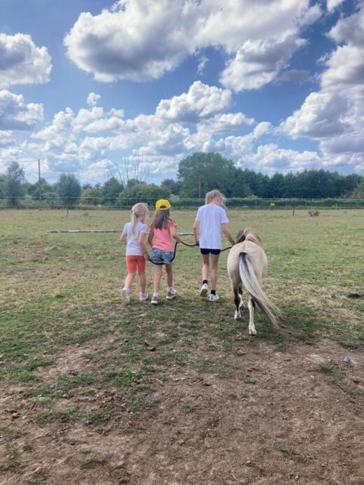 [2026] Hol met je knol - Pasen 1(7/4)  - Aalter Coachhoeve