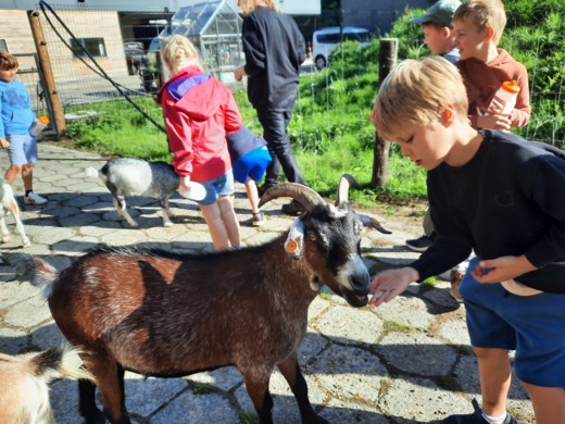 Teamadventure NATUURlijk