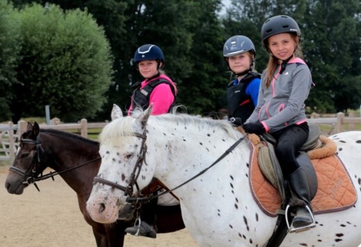 [2026] Paardrijden in Buggenhout - Krokus(15/2)  - Buggenhout 't Hoefijzer