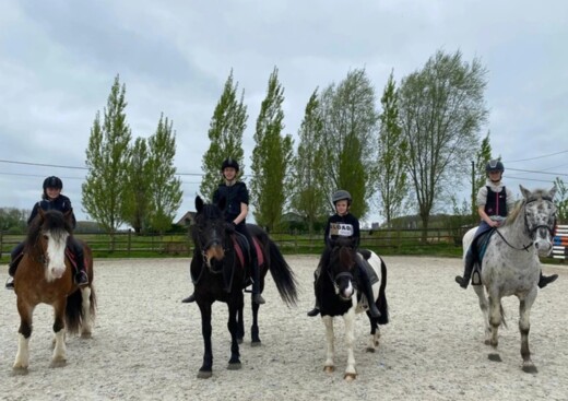 [2026] Paardrijden in Wingene - Krokus 1(16/2)  - Wingene Sip's Stable