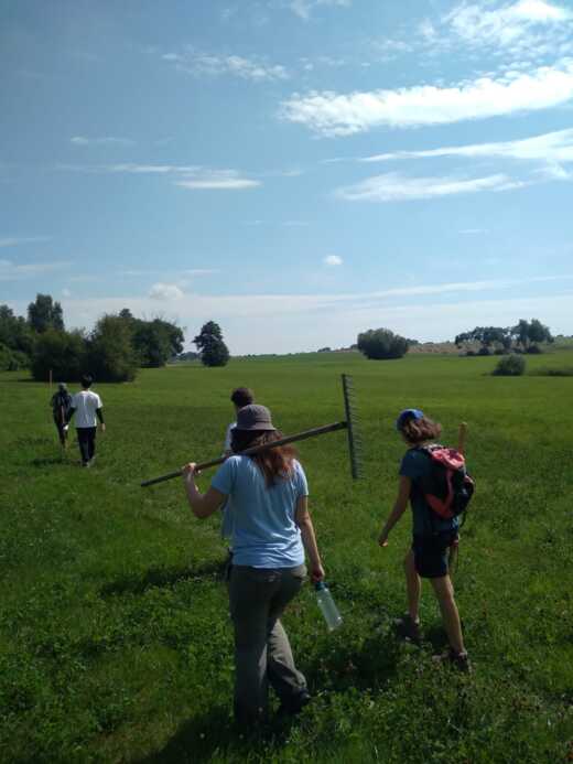 Orchart Going to work.jpeg
