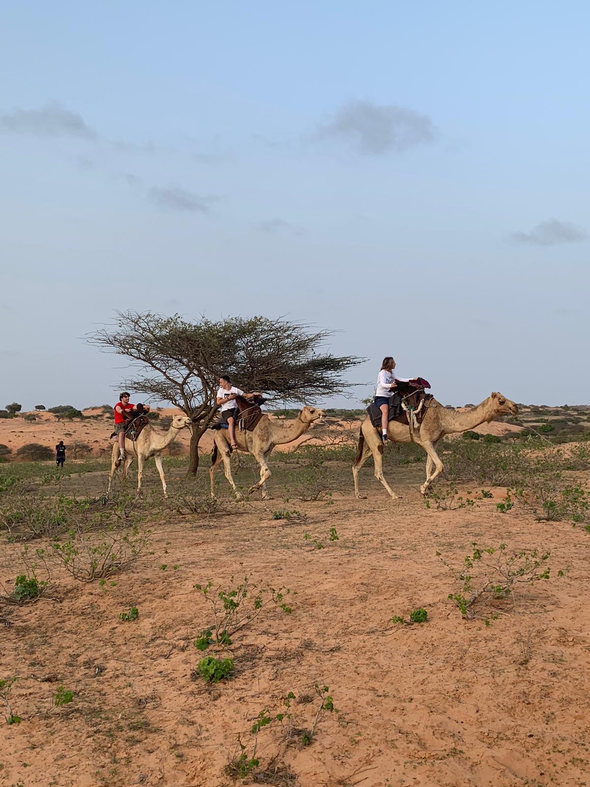 vrijwilligerswerk in Senegal met Bouworde (3).jpg